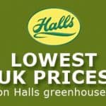 Halls Greenhouses Logo