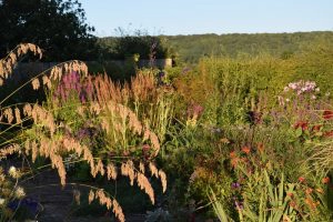 John Grimshaw’s Garden Diary