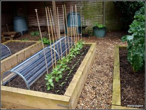 Mark’s Veg Plot