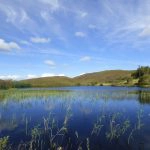 Young Fermanagh Naturalist