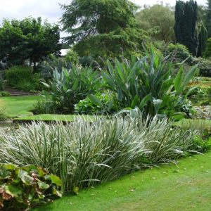 Glorious Gardens