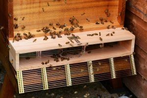 Bee Window Box