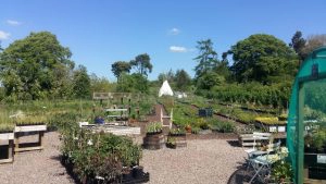 Quirky Bird Gardener