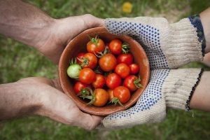 Red Fruit & Vegetables