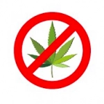 No Cannabis